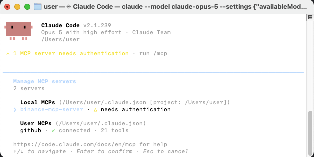 Claude Code /mcp menu showing binance-mcp-server